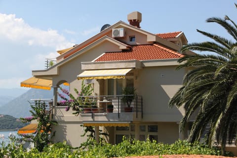 Palma Apartments Condo in Dobrota