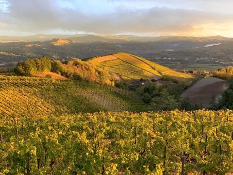 Cascina Marcantonio Farm Stay in Lombardy