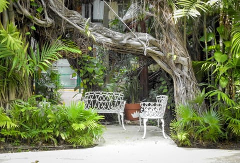 Eco-hotel El Rey del Caribe Hotel in Cancun