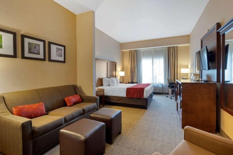Comfort Suites Anchorage International Airport Hotel in Spenard