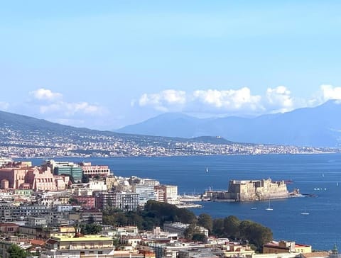 la terrazza sul porto Condo in Naples