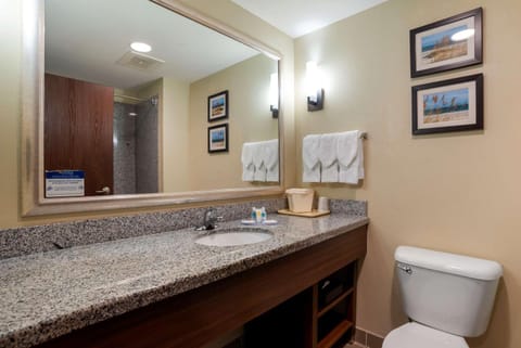 Comfort Suites Foley - North Gulf Shores Hotel in Foley