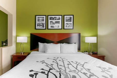 Sleep Inn & Suites Montgomery East I-85 Hotel in Montgomery