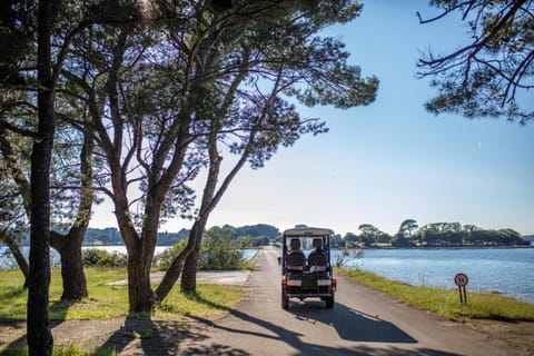 Natural landscape, Activities, Golfcourse, Sea view, Entertainment