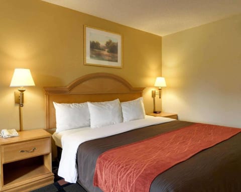 Quality Inn & Suites Malvern Hotel in Fenter Township