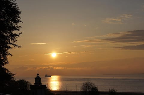 Garden view, Sea view