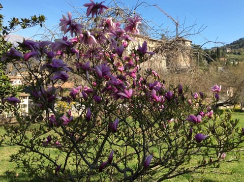 Spring, Summer, Garden, On site, Garden view, Landmark view