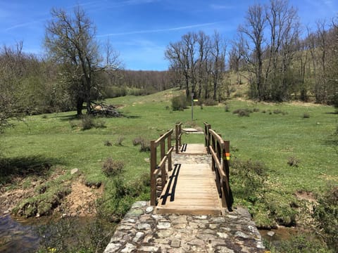 Natural landscape, Hiking