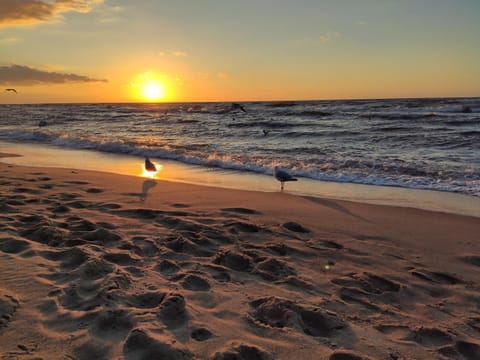 Beach, Sunset