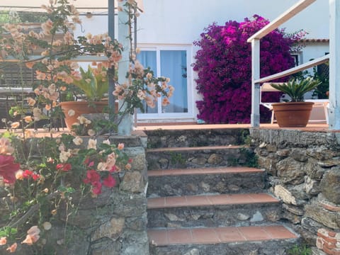 Property building, Spring, Day, Garden, Garden view