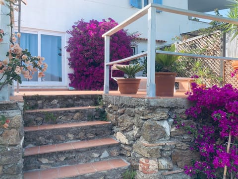 Spring, Day, Garden, Garden view