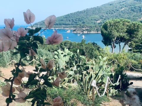 Nearby landmark, Spring, Day, Natural landscape, Mountain view, Sea view