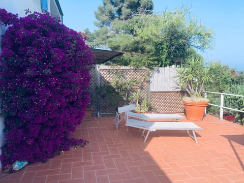 Patio, Spring, Day, Garden, View (from property/room), Balcony/Terrace, Garden view, sunbed