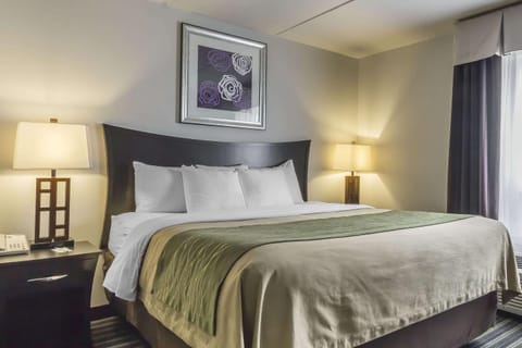 Comfort Inn & Suites Moose Jaw Hotel in Moose Jaw