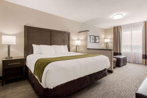Comfort Inn & Suites Hotel in Red Deer