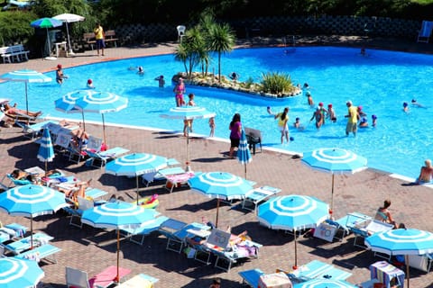 Summer, Pool view, Swimming pool, sunbed