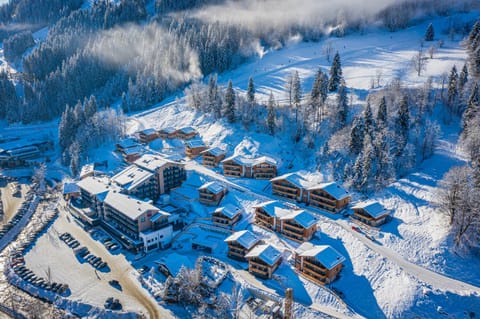 Bird's eye view, Winter