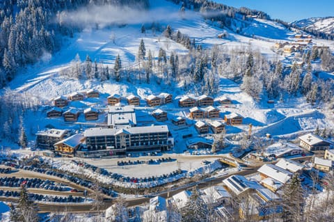 Bird's eye view, Winter