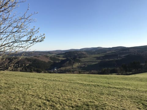 Glühalm Willingen Casa in Willingen