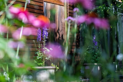 Beeltjens B&B: Wolf&Belle Bed and Breakfast in Flanders