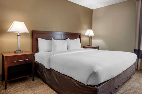 Comfort Inn & Suites DeLand - near University Hotel in DeLand