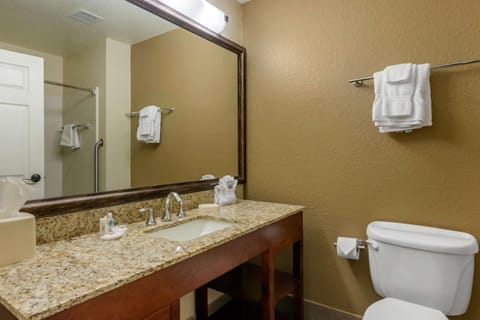 Comfort Suites The Villages Hotel in Lady Lake