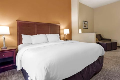 Comfort Suites Ocala North Hotel in Ocala