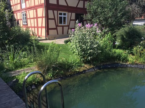 Decorative detail, Garden view