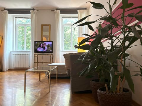 TV and multimedia, Living room