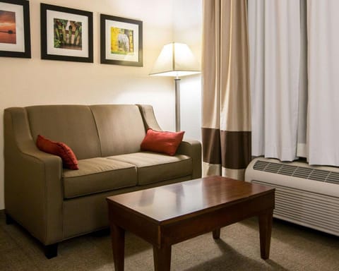 Comfort Suites Cumming-Atlanta near Northside Hospital Forsyth Hôtel in Cumming