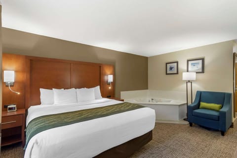 Comfort Inn & Suites - near Robins Air Force Base Main Gate Hotel in Warner Robins