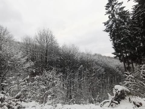 Ferienwohnung Rauszeit Lennestadt Sauerland Apartment in Hochsauerlandkreis