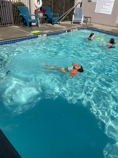 Pool view, Swimming pool