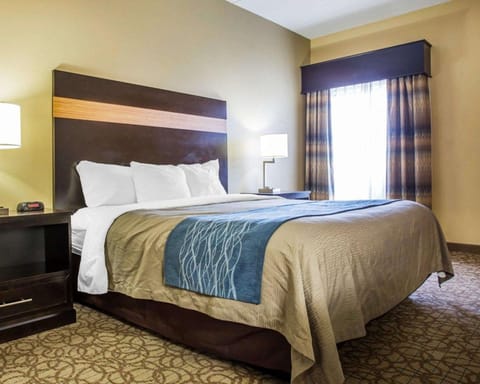 Comfort Inn & Suites at Stone Mountain Hotel in Georgia