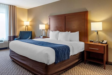 Comfort Inn & Suites Hotel in Blue Ridge