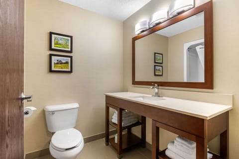 Comfort Suites Hotel in Cedar Falls