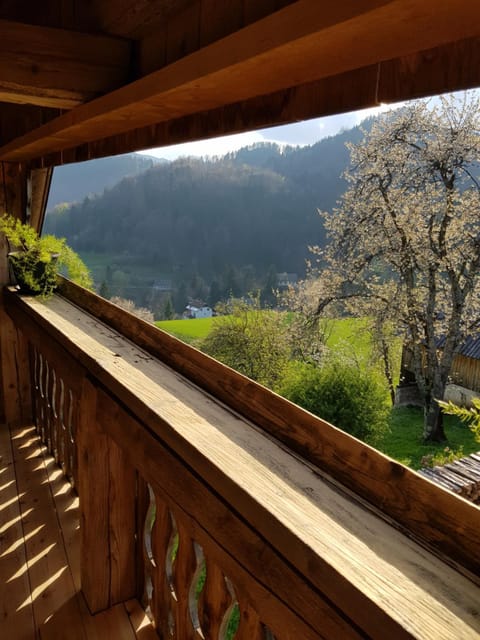 Balcony/Terrace, Garden view, Mountain view