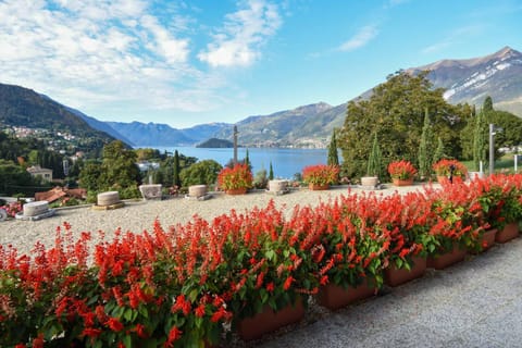 Agriturismo Il Colle Farm Stay in Bellagio