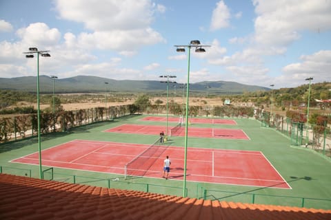 Tennis court