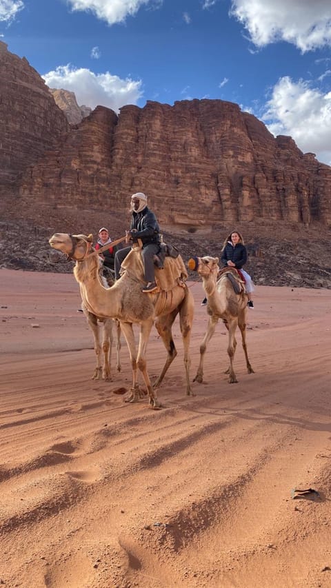 Day, People, Natural landscape, Horse-riding, Animals, group of guests