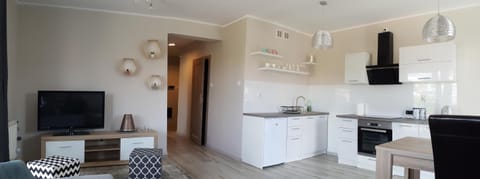 Kitchen or kitchenette, Dining area, oven, stove