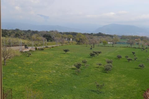 Mary&Kate's green house Eigentumswohnung in Scalea