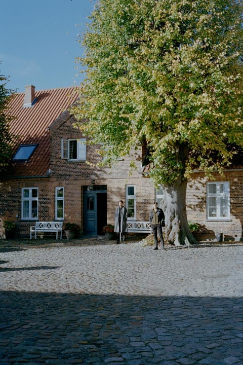 Property building, Day, People, group of guests