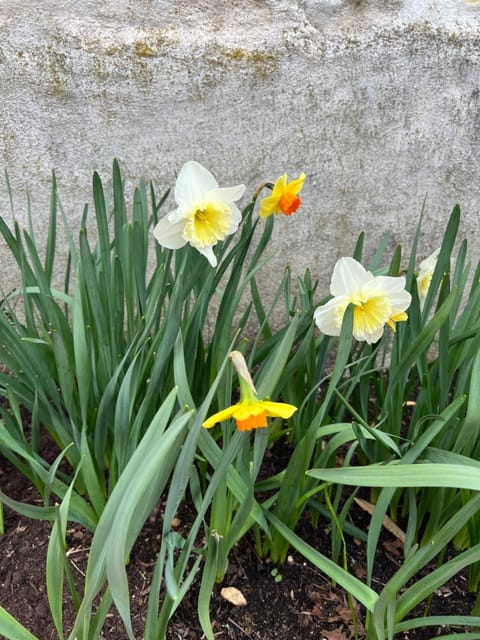Le Hameau du Peu House in Centre-Val de Loire