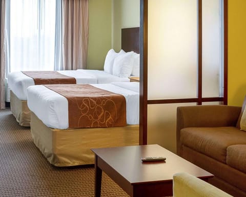 Comfort Suites Harvey - New Orleans West Bank Hotel in Gretna