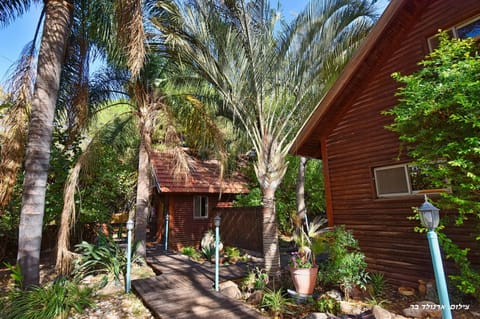 Property building, Facade/entrance, Garden