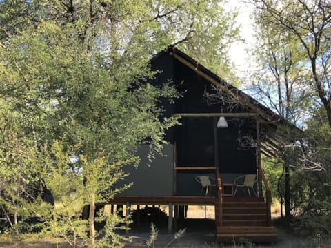 Phazama Farm Chalet in Namibia