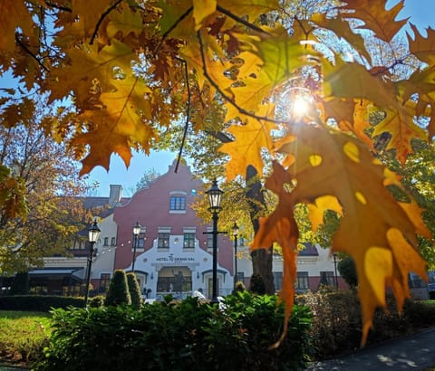 Property building, Garden, Autumn, Garden view