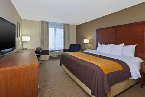 Comfort Inn & Suites Hotel in Detroit