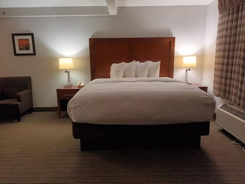 Country Inn & Suites by Radisson, Battle Creek, MI Hotel in Battle Creek